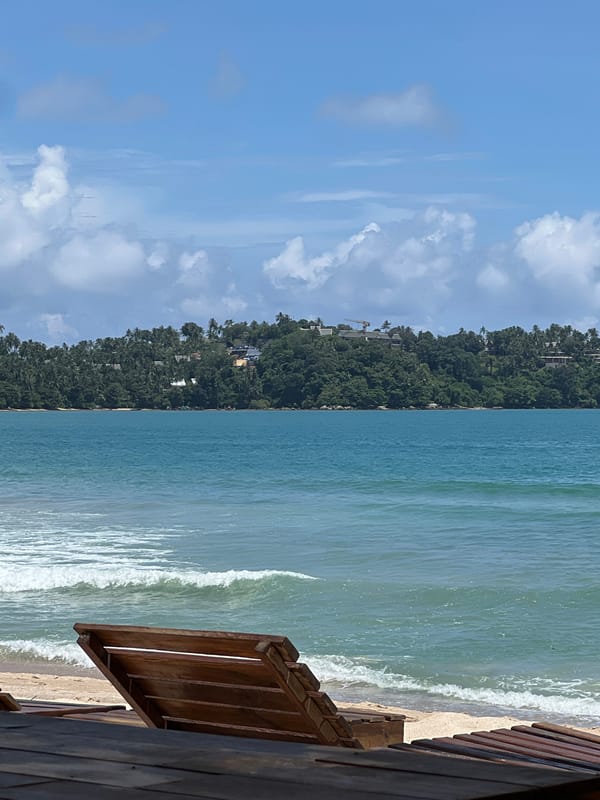 Beach day setup with umbrellas and coastal relaxation