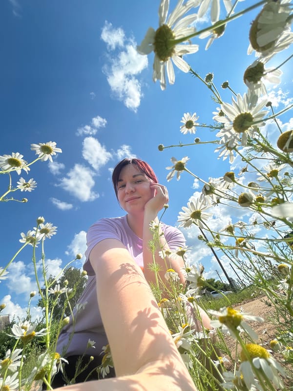 Daisy field stop and car selfies on a sunny Fokino morning