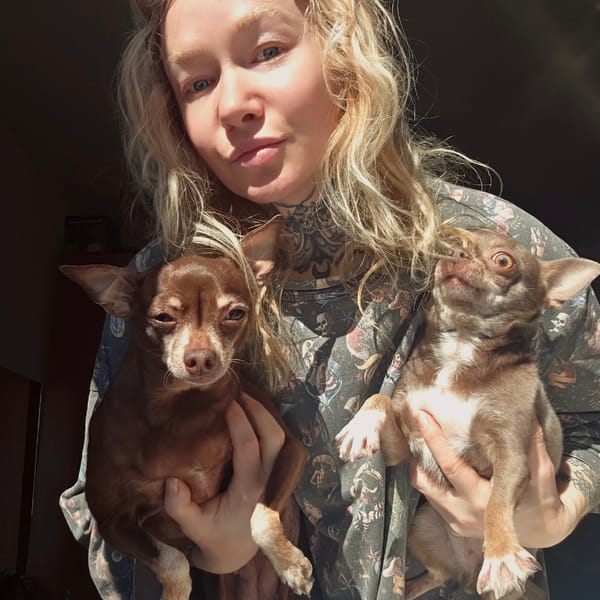 Morning snapshots: pets, fashion, crafting in Saint Petersburg
