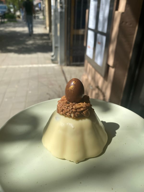 Woman takes selfies near flowers, mural in Novi Sad