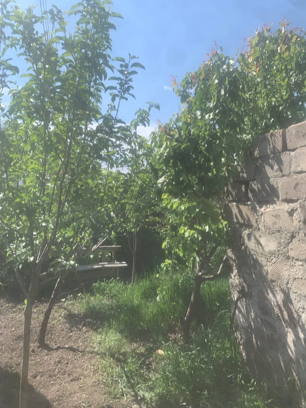 Morning scenes of everyday life captured in Gyumri, Armenia
