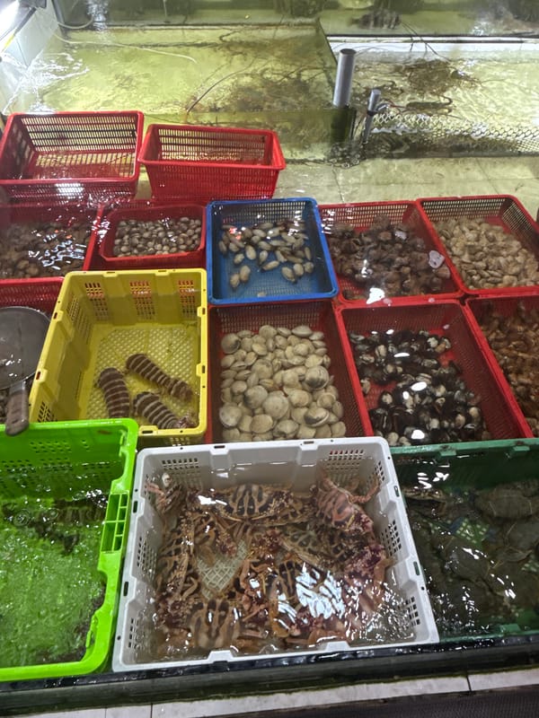 Daily life scenes captured in Nha Trang Ward, Vietnam