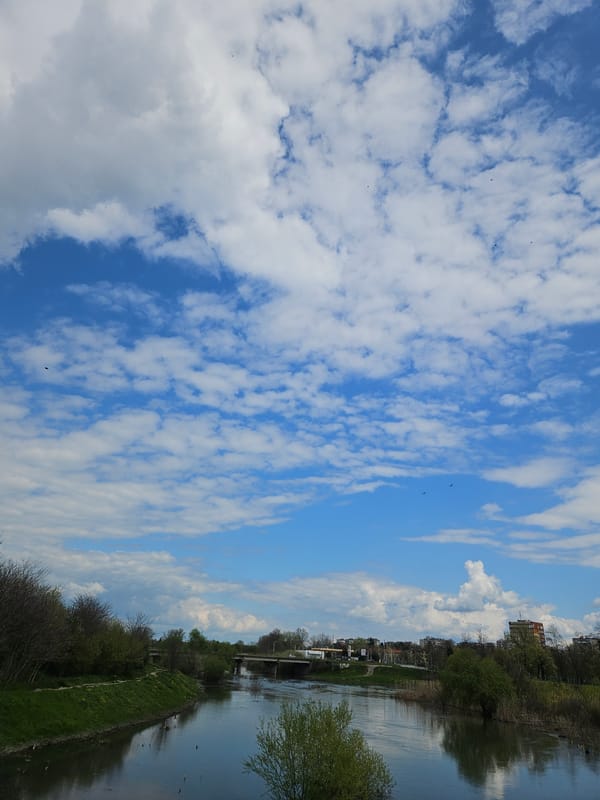 Spring riverside scenes documented along Tundzha River in Yambol
