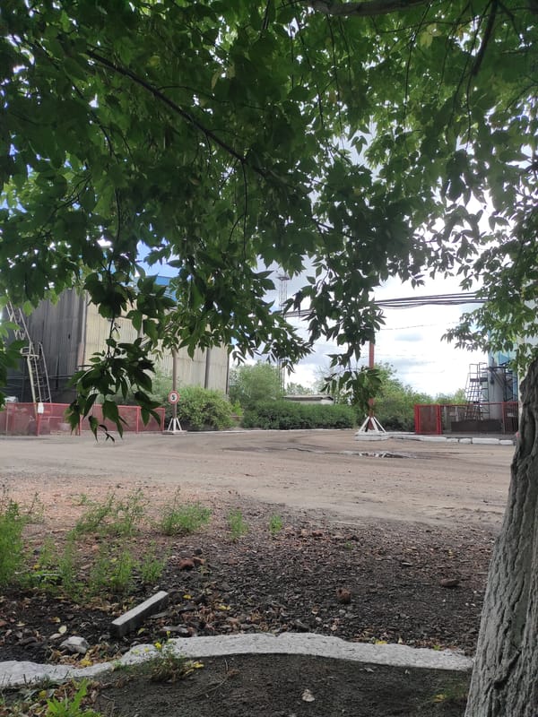 Tree and industrial buildings coexist at a Kyzyl outdoor site