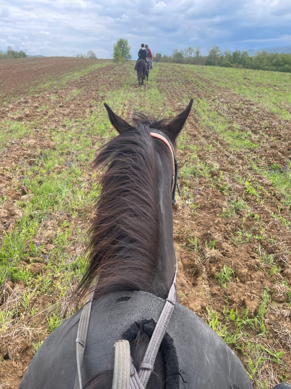 Horseback rider captured in rural Penkovtsi, Bulgaria