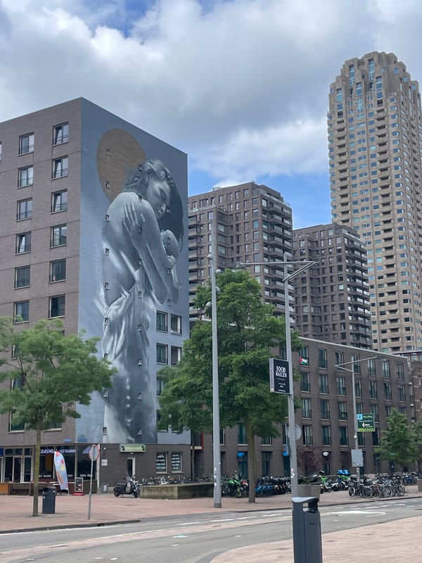 Morning urban documentation tour across Rotterdam landmarks and streetscapes