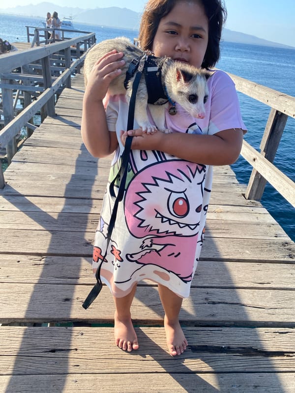 Pier day in Bulusan with a leashed marsupial stealing the show