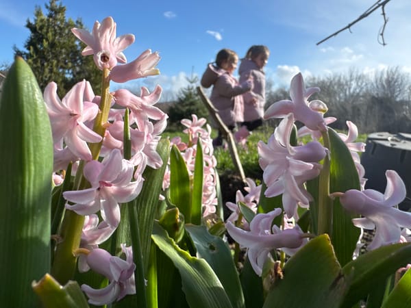 Spring garden scenes with children playing among flowers in Bulgaria