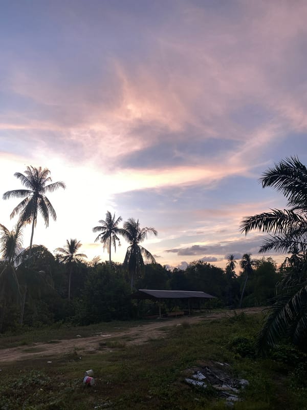Tropical sunset documented in Seuneubok Teungoh, Indonesia