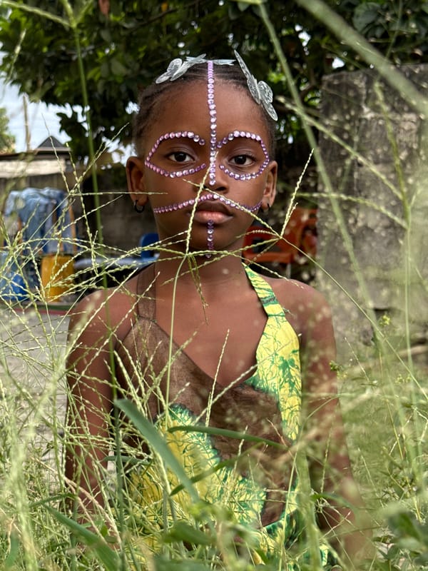 Butterfly art installations and family portraits documented across Nigeria