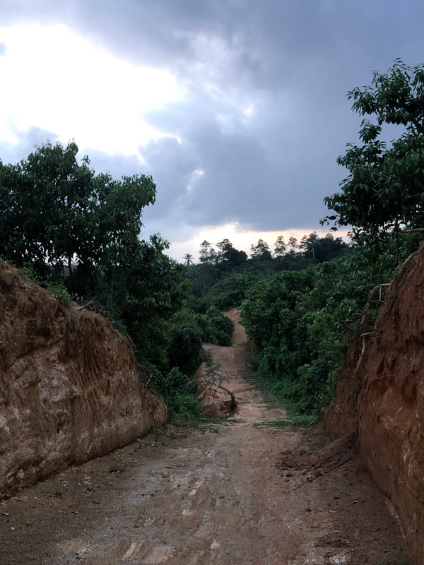 Dirt road through tropical landscape documented in Habaraduwa