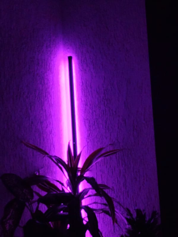 Purple glow illuminates indoor wall in Bulgarian coastal town