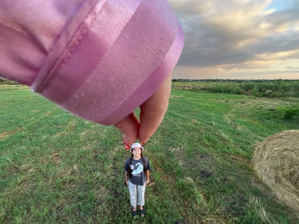 Standing in a grassy field near Novopokrovskaya, Russia