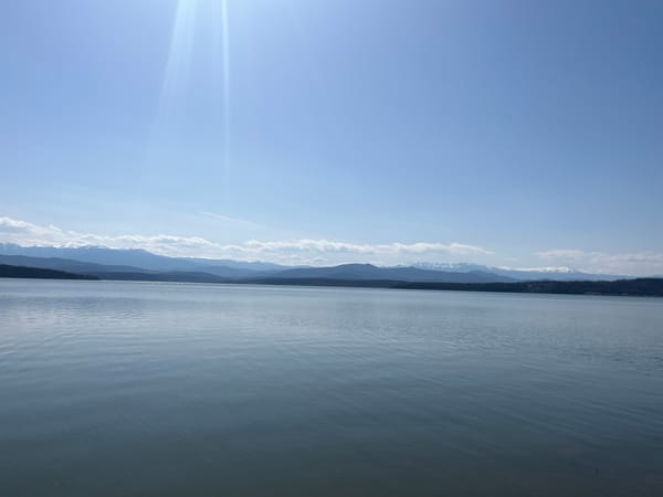 Young person kneels by lake in Montana, Bulgaria