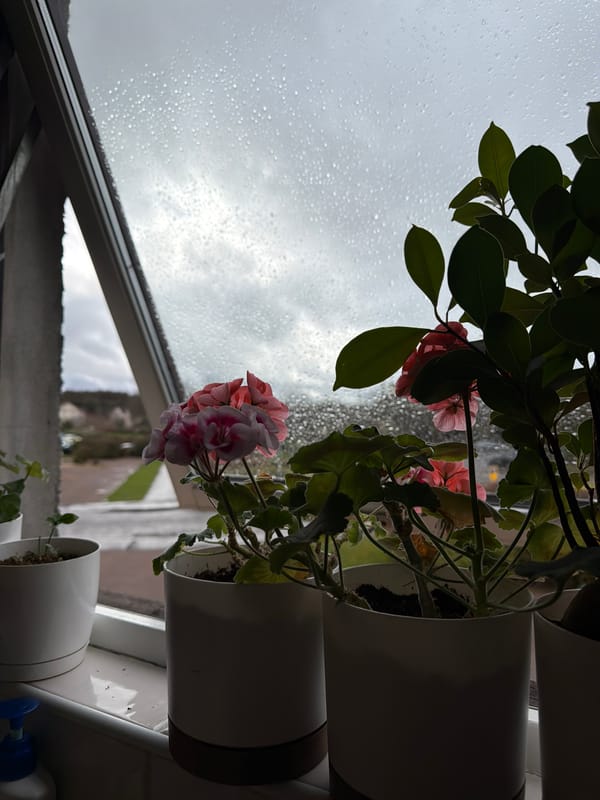 Rainy day indoor moments captured in Blackburn home