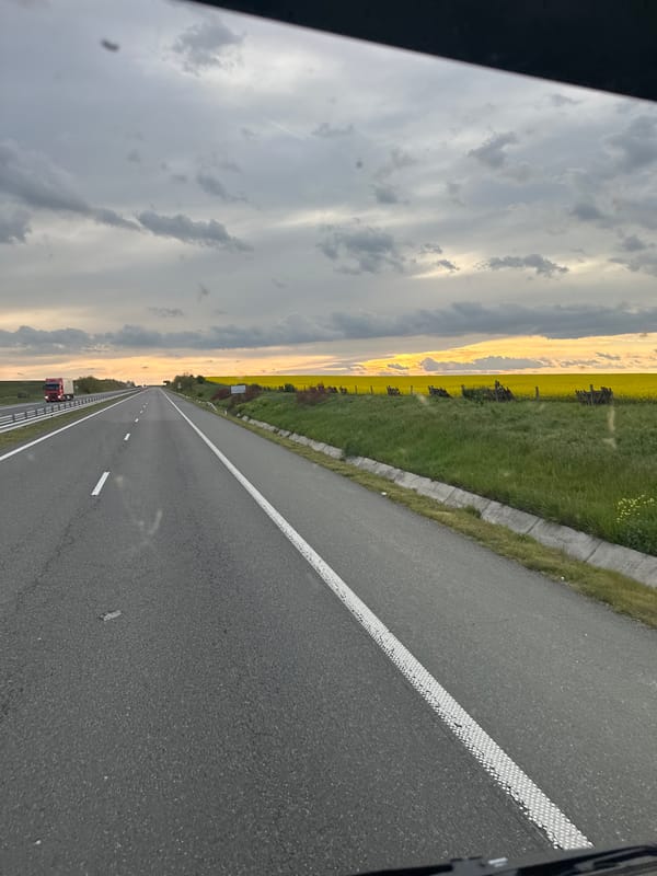 Highway scene with yellow flowers captured in Zheleznik, Bulgaria