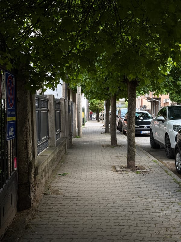 Overcast afternoon observed on tree-lined street in Kragujevac