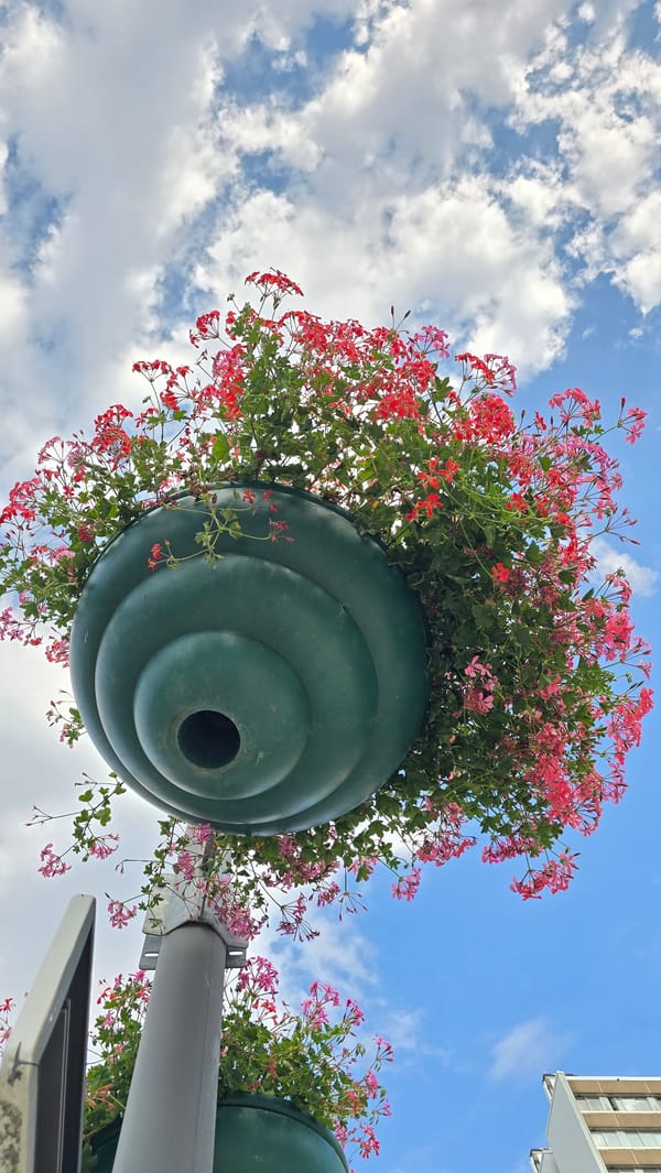 Antwerp garden in bloom: flowers, bees, and ornamental details