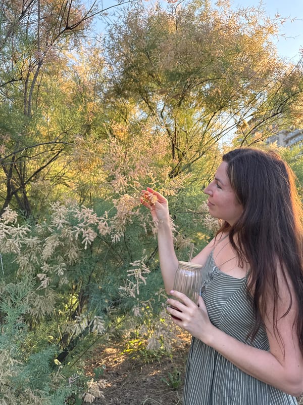 A summer evening in Odesa, birds, pups, and small things