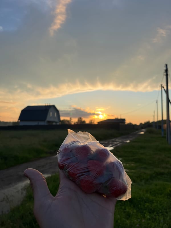 Summer evening on a rural Russian property, strawberries in hand
