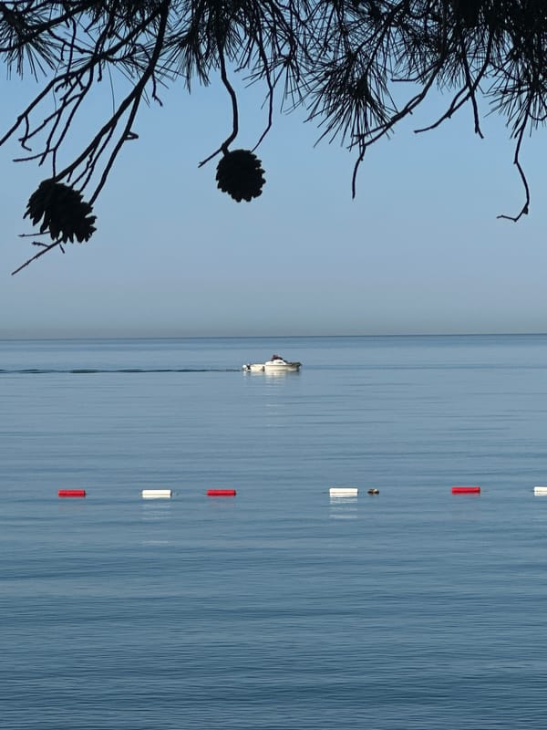Morning scenes of nature and construction captured in Montenegro