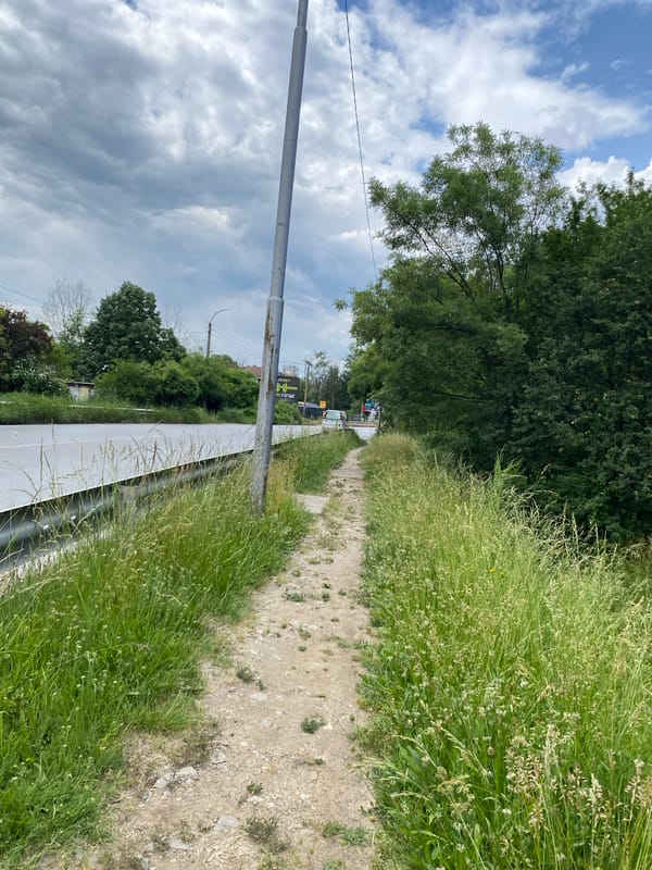 Morning walk documented along tree-lined dirt path in Sofia