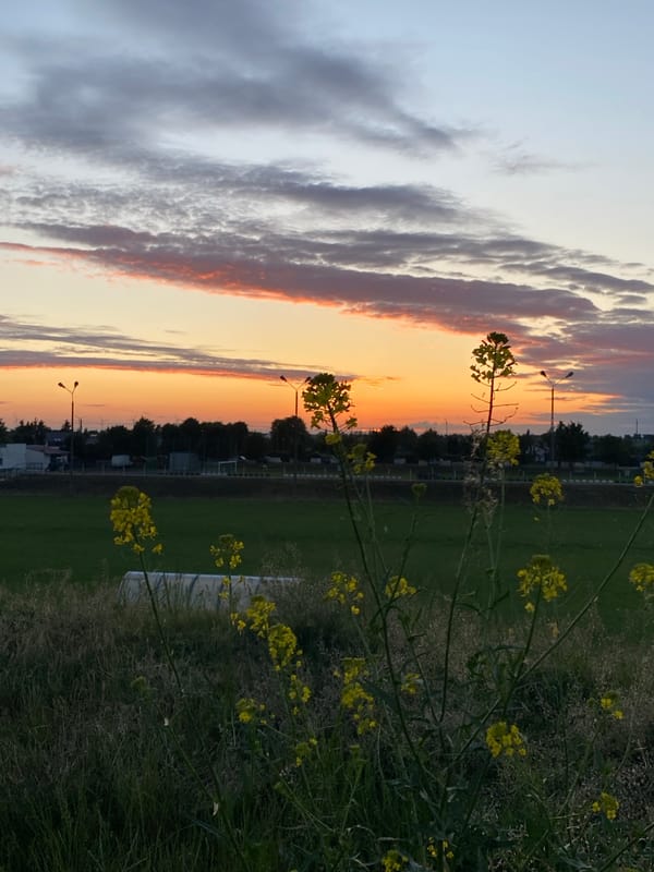 Evening recreation captured at Buk sports facility during sunset