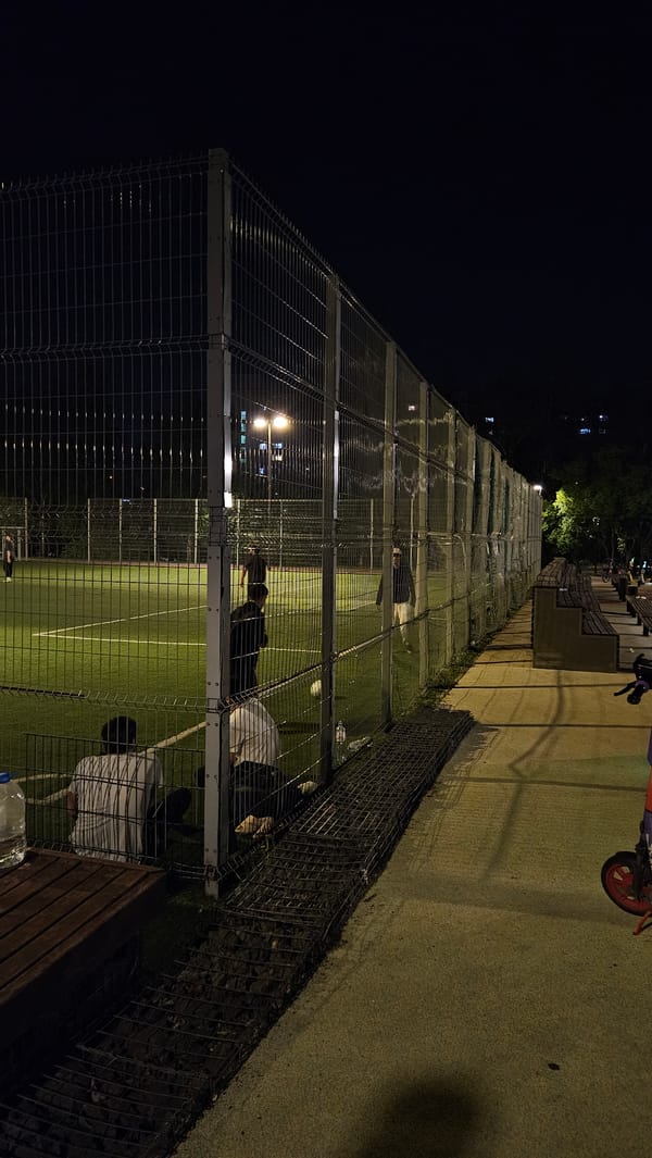 Urban evening scenes documented across city district during dusk hours