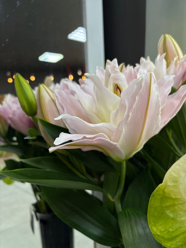 Flowers and ribbons, likely scouting floral or craft supplies
