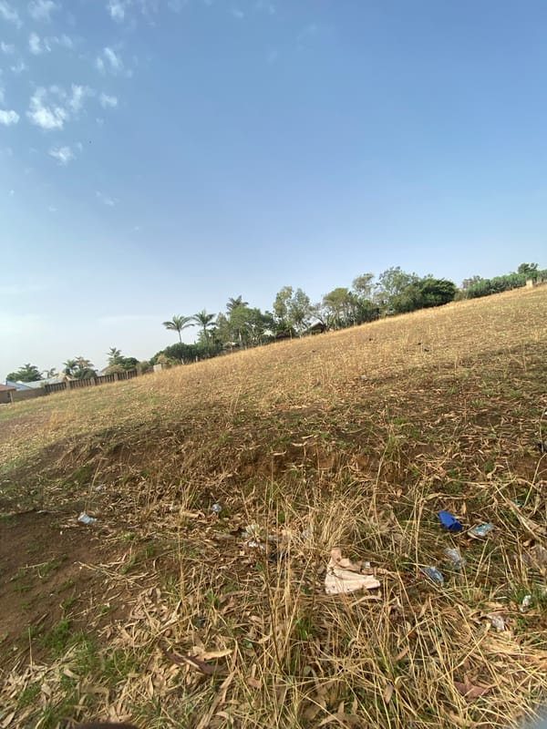 Morning walk through Bukuru reveals local flora and street life