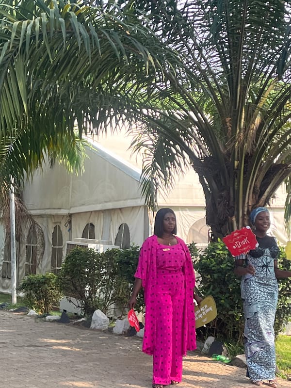 Live performance event draws crowd in Galadimawa Village, Nigeria
