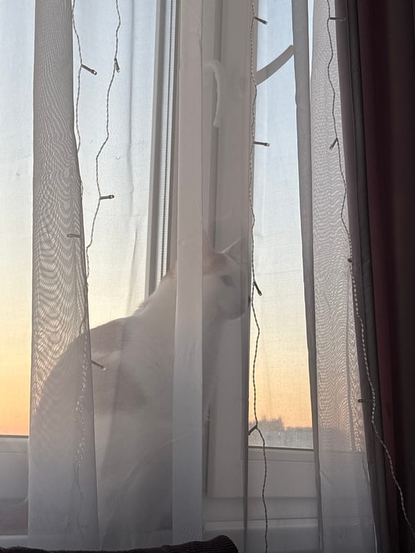 Ordinary evening moments documented across unknown Russian city
