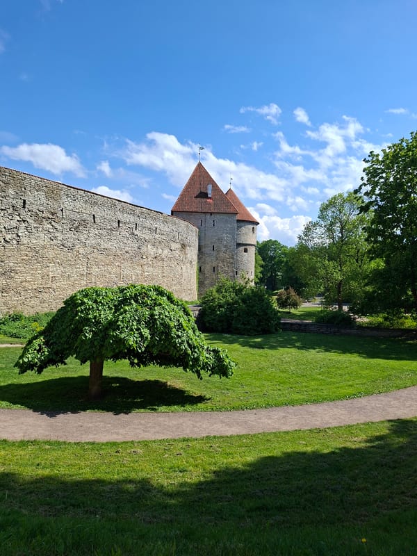 Tourist documents sunny walking tour through Tallinn's historic Old Town