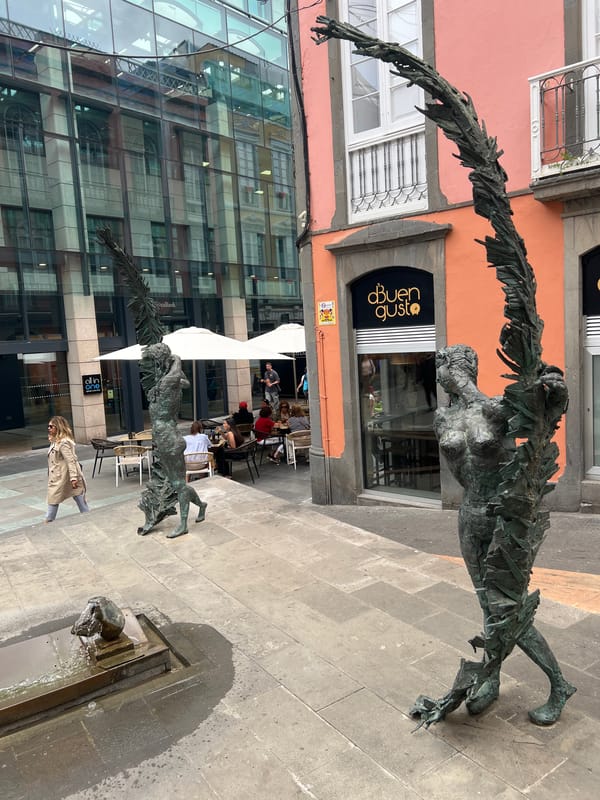 Witness documents daily life across Las Palmas city center