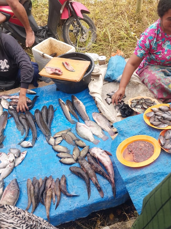 Fresh fish market in full swing across two Indonesian villages