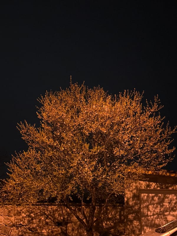 Daily life snapshots captured in Bulgarian town