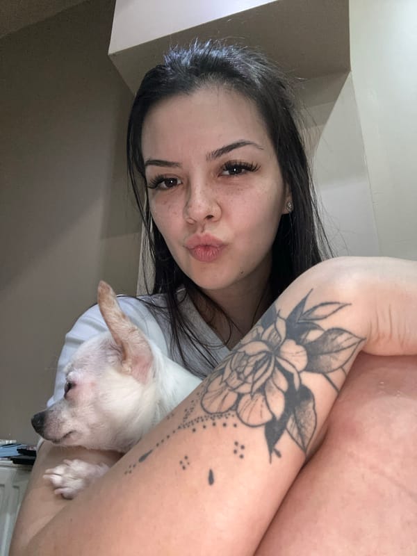 Indoor selfies with a white chihuahua in Sliven, Bulgaria