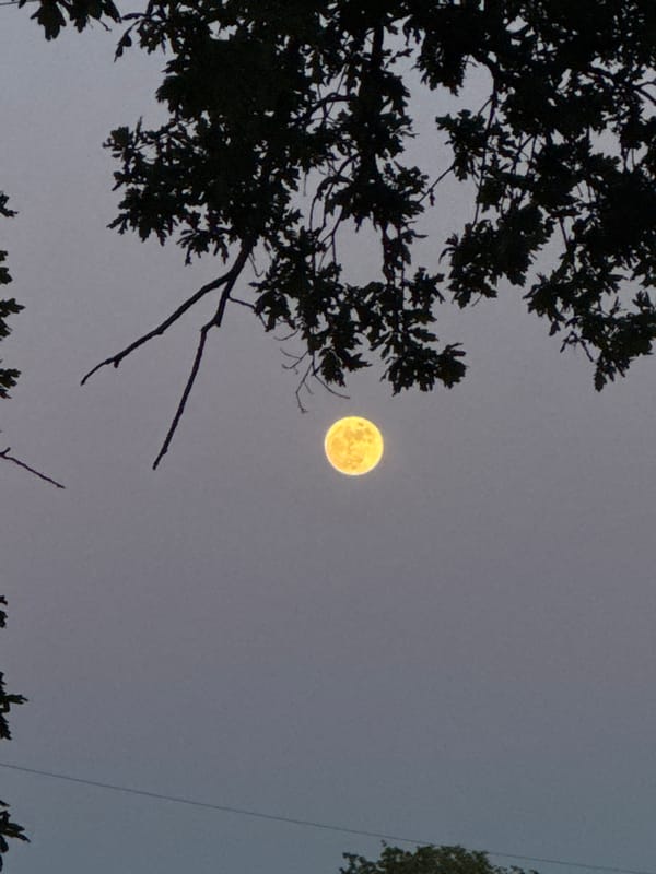 Full moon rises over London during golden hour evening