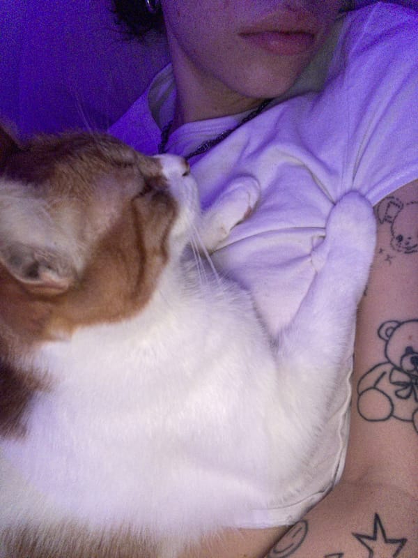 Evening portraits captured across Buenos Aires subway and urban areas