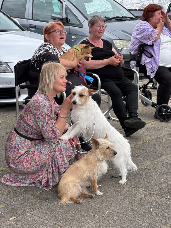 Dog show event documented by witnesses in Bar, Montenegro