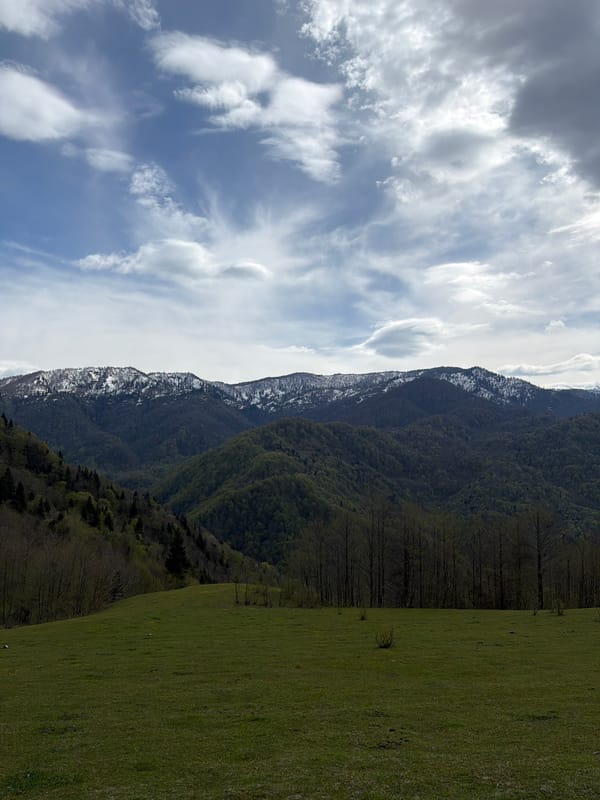 Spring landscape documented in Vakhani, Georgia mountain region
