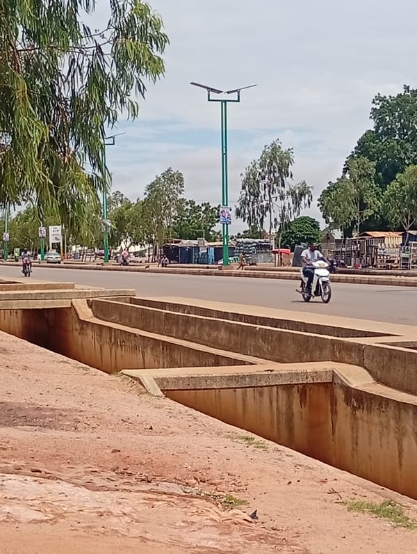 Street life and infrastructure along a Wuro Dole road