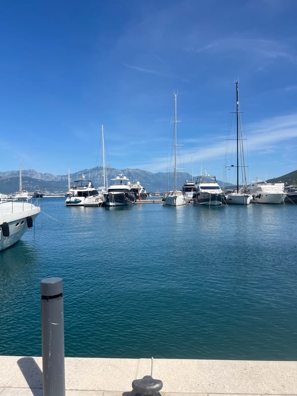 Adriatic marina life documented in Montenegro coastal towns