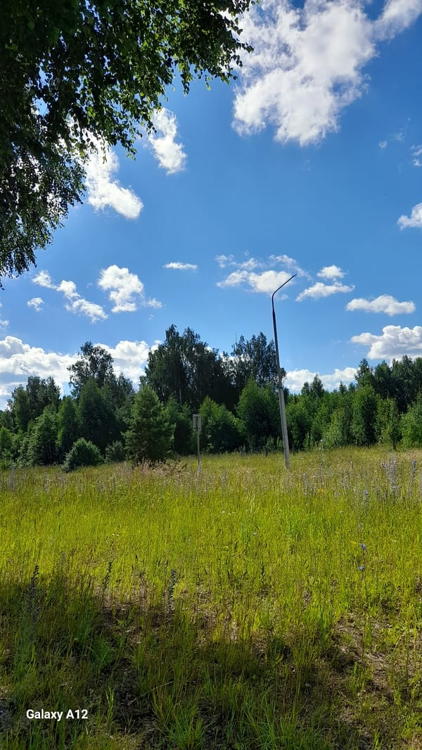 Open grassland and blue skies in rural Russia