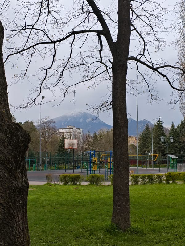 Spring scenes documented across Pyatigorsk parks and walkways