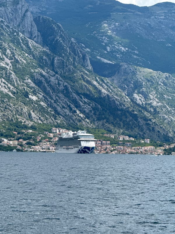 Cruise ship docks in Bay of Kotor near Prčanj