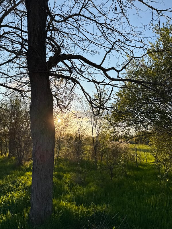 Street scene documented in Buhovo, Bulgaria with parked vehicles