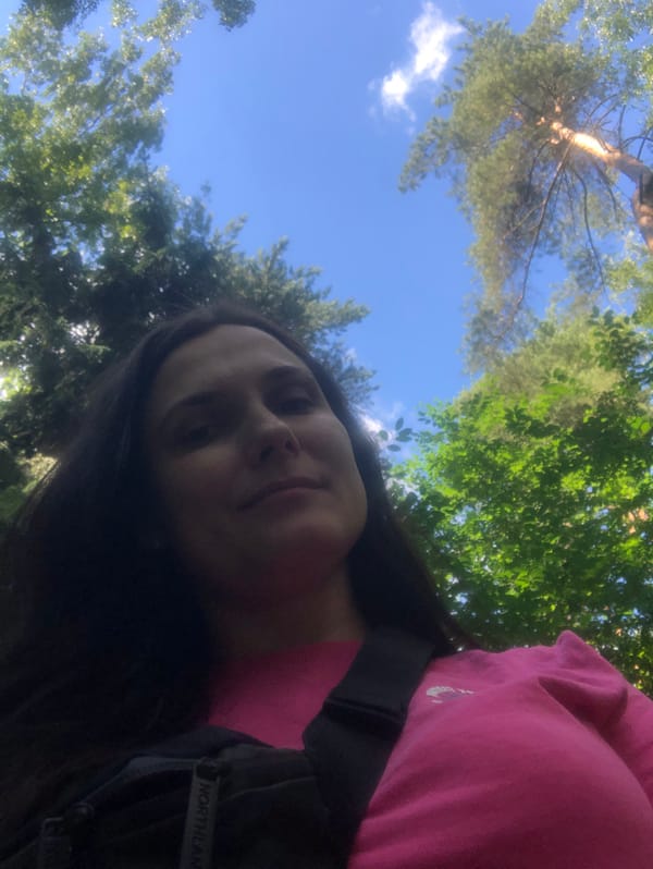 Selfies and pine trees on a sunny Moscow park afternoon