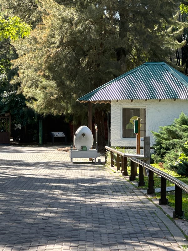 Buenos Aires Zoo and Park Activities Documented During Afternoon Visit