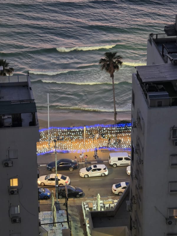 Nighttime aerial view captures solitary palm tree on Jordanian coast